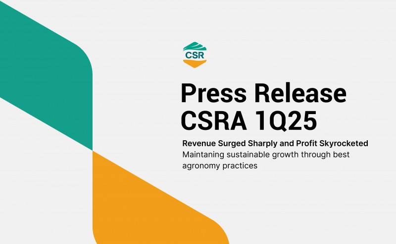 Revenue Surged Sharply and Profit Skyrocketed - Press Release CSRA 1Q25