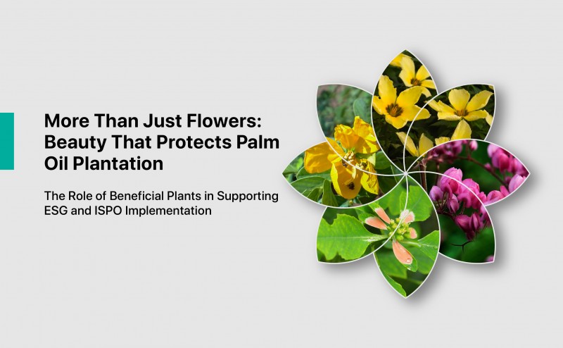 More Than Just Flowers: Beauty That Protects Palm Oil Plantation